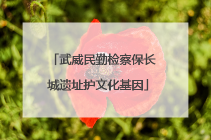 武威民勤检察保长城遗址护文化基因