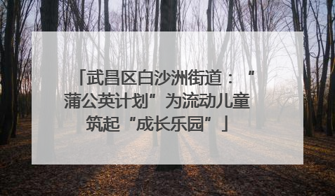 武昌区白沙洲街道：“蒲公英计划”为流动儿童筑起“成长乐园”