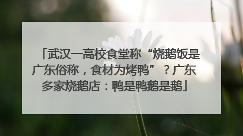 武汉一高校食堂称“烧鹅饭是广东俗称，食材为烤鸭”？广东多家烧鹅店：鸭是鸭鹅是鹅