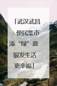 武汉武昌：便民集市添“绿”意 银发生活更幸福