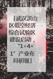 武汉洪山区低空经济综合试验区建设启动，“1+4+1”产业布局初现