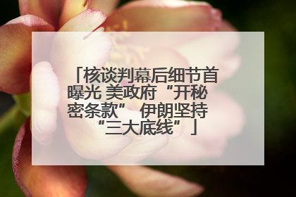 核谈判幕后细节首曝光 美政府“开秘密条款” 伊朗坚持“三大底线”