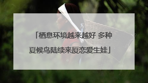 栖息环境越来越好 多种夏候鸟陆续来厦恋爱生娃
