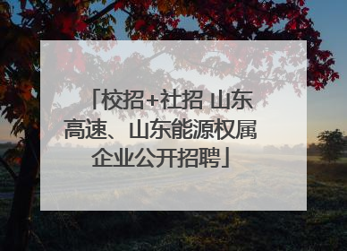 校招+社招 山东高速、山东能源权属企业公开招聘