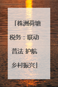 株洲荷塘税务：联动普法 护航乡村振兴
