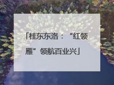 桂东东洛：“红领雁”领航百业兴