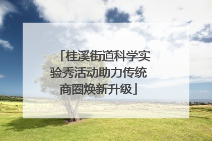 桂溪街道科学实验秀活动助力传统商圈焕新升级