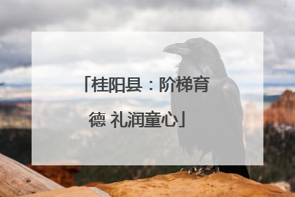 桂阳县：阶梯育德 礼润童心