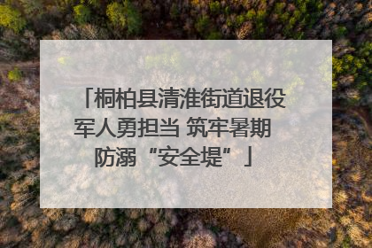 桐柏县清淮街道退役军人勇担当 筑牢暑期防溺“安全堤”