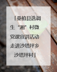 桑植县选调生“湘”村微党课宣讲活动走进沙塔坪乡沙塔坪村