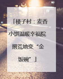楼子村：麦香小饼温暖幸福院 撂荒地变“金饭碗”