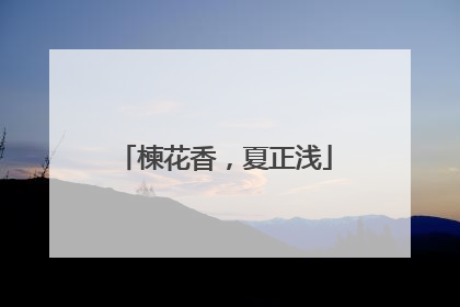 楝花香，夏正浅