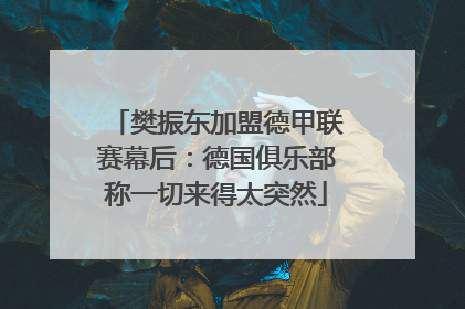 樊振东加盟德甲联赛幕后：德国俱乐部称一切来得太突然