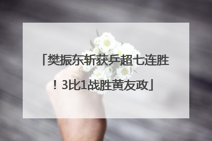樊振东斩获乒超七连胜！3比1战胜黄友政
