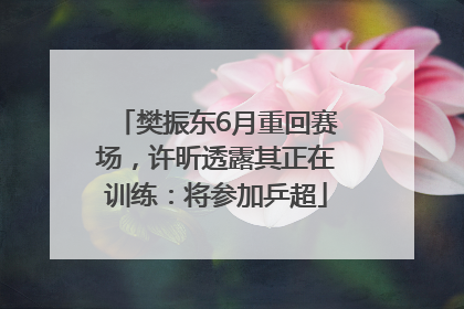 樊振东6月重回赛场，许昕透露其正在训练：将参加乒超