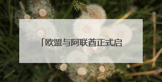 欧盟与阿联酋正式启动自由贸易协定谈判