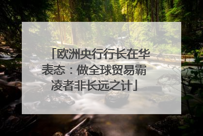 欧洲央行行长在华表态：做全球贸易霸凌者非长远之计