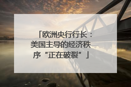 欧洲央行行长：美国主导的经济秩序“正在破裂”