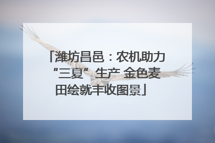 潍坊昌邑：农机助力“三夏”生产 金色麦田绘就丰收图景