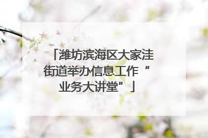 潍坊滨海区大家洼街道举办信息工作“业务大讲堂”