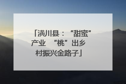 潢川县：“甜蜜”产业  “桃”出乡村振兴金路子