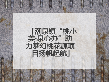 潮泉镇“桃小美·泉心办”助力梦幻桃花源项目扬帆起航