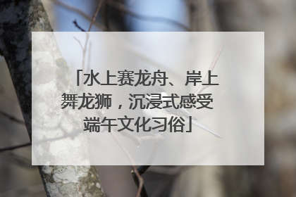 水上赛龙舟、岸上舞龙狮，沉浸式感受端午文化习俗