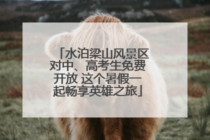 水泊梁山风景区对中、高考生免费开放 这个暑假一起畅享英雄之旅