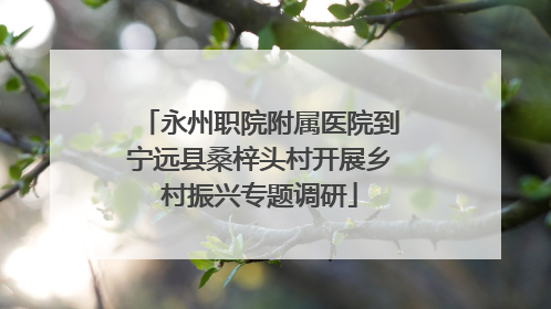 永州职院附属医院到宁远县桑梓头村开展乡村振兴专题调研
