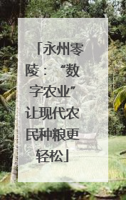 永州零陵：“数字农业”让现代农民种粮更轻松