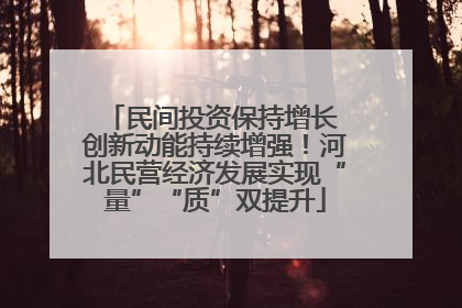 民间投资保持增长 创新动能持续增强！河北民营经济发展实现“量”“质”双提升
