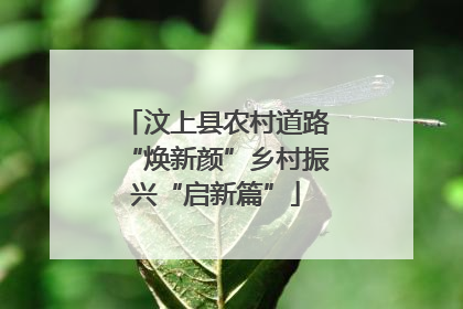 汶上县农村道路“焕新颜”乡村振兴“启新篇”