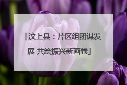 汶上县：片区组团谋发展 共绘振兴新画卷