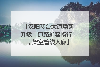 汉阳琴台大道焕新升级：道路扩容畅行，架空管线入廊