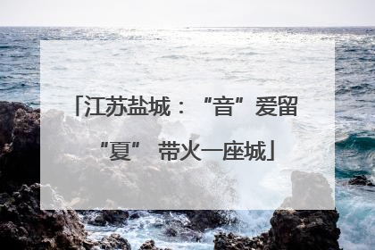 江苏盐城：“音”爱留“夏” 带火一座城