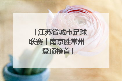 江苏省城市足球联赛丨南京胜常州 登顶榜首