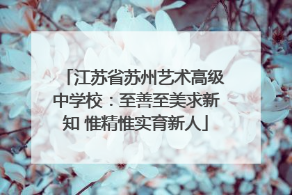 江苏省苏州艺术高级中学校：至善至美求新知 惟精惟实育新人
