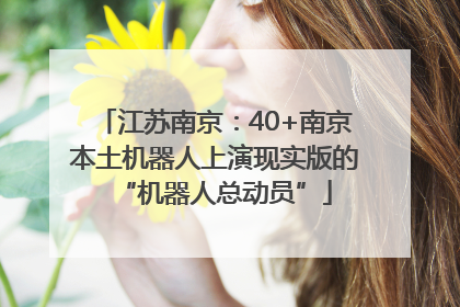 江苏南京：40+南京本土机器人上演现实版的“机器人总动员”