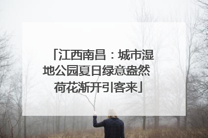 江西南昌：城市湿地公园夏日绿意盎然 荷花渐开引客来