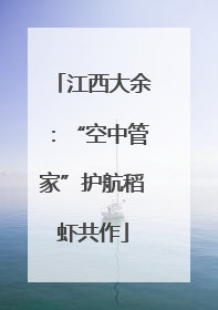 江西大余：“空中管家”护航稻虾共作