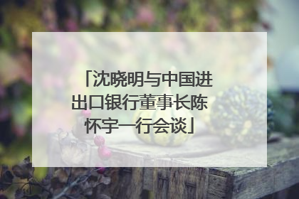 沈晓明与中国进出口银行董事长陈怀宇一行会谈