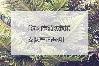 沈阳市消防救援支队严正声明