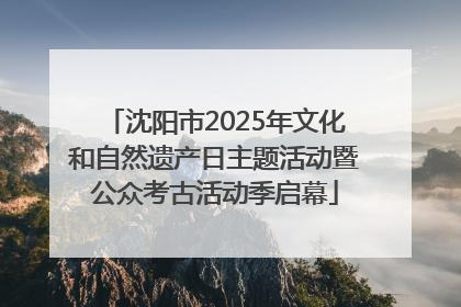 沈阳市2025年文化和自然遗产日主题活动暨公众考古活动季启幕