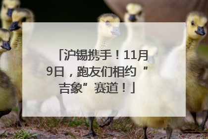 沪锡携手！11月9日，跑友们相约“吉象”赛道！