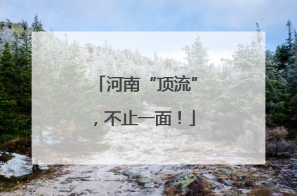 河南“顶流”，不止一面！