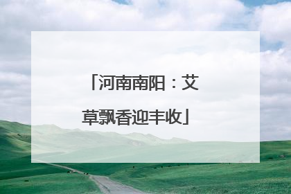 河南南阳：艾草飘香迎丰收