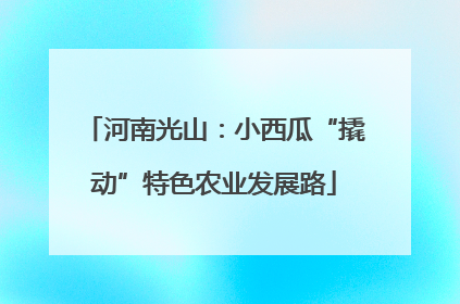 河南光山：小西瓜“撬动”特色农业发展路