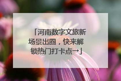 河南数字文旅新场景出圈，快来解锁热门打卡点→