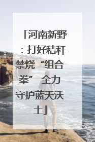 河南新野：打好秸秆禁烧“组合拳” 全力守护蓝天沃土