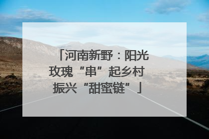 河南新野：阳光玫瑰“串”起乡村振兴“甜蜜链”